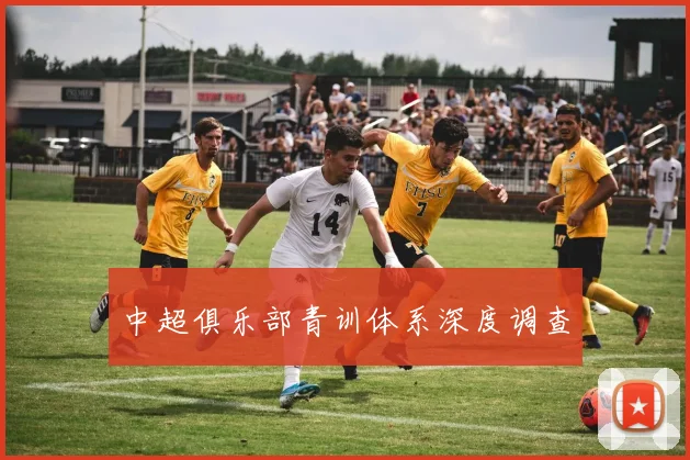 中超俱乐部青训体系深度调查