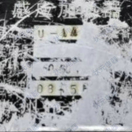 山东潍坊某柴油机公司